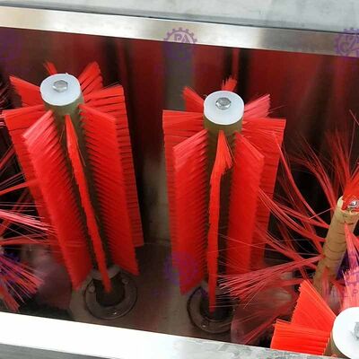 5 Gallon Barrel Máy rửa bàn chải bán tự động với trạm đôi nhà cung cấp